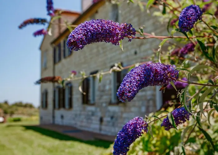 Alle Pendici del Conero Sirolo
