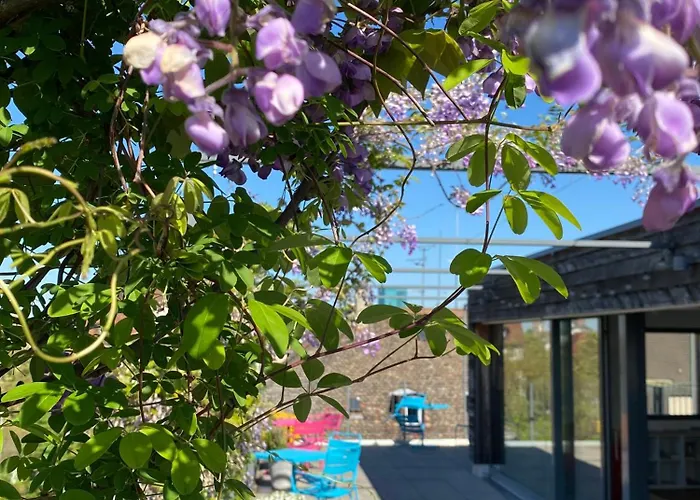 Josephine'S Guesthouse - Women Only With Rooftop And Community Area Zurich