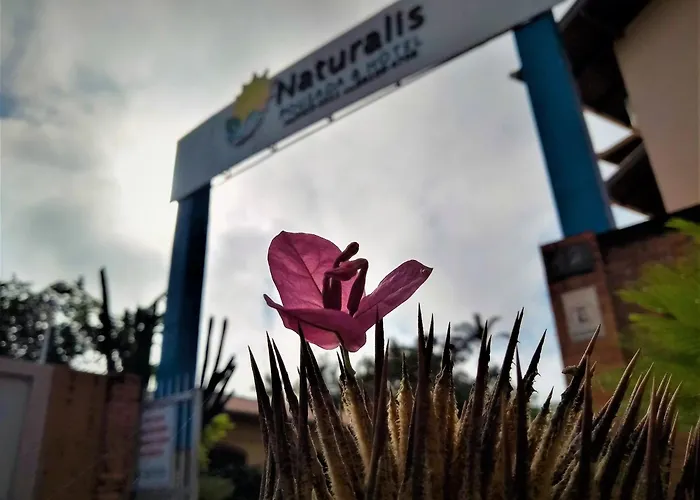 Hotel Naturalis Paranaguá