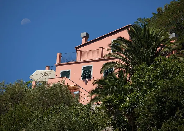 Il Nettare