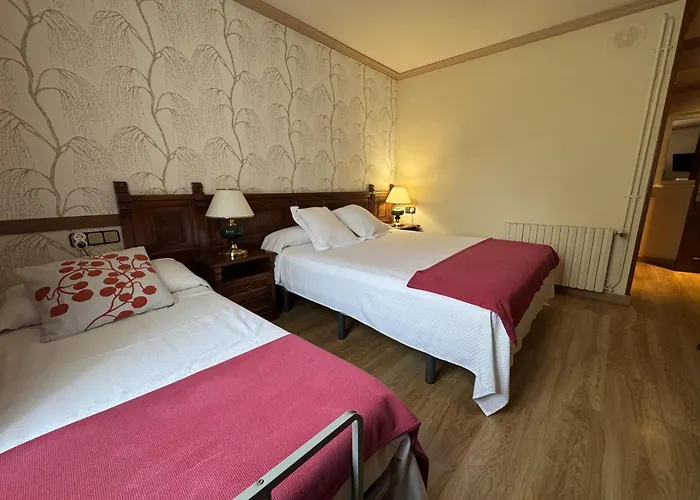Hotel Edelweiss Camprodon