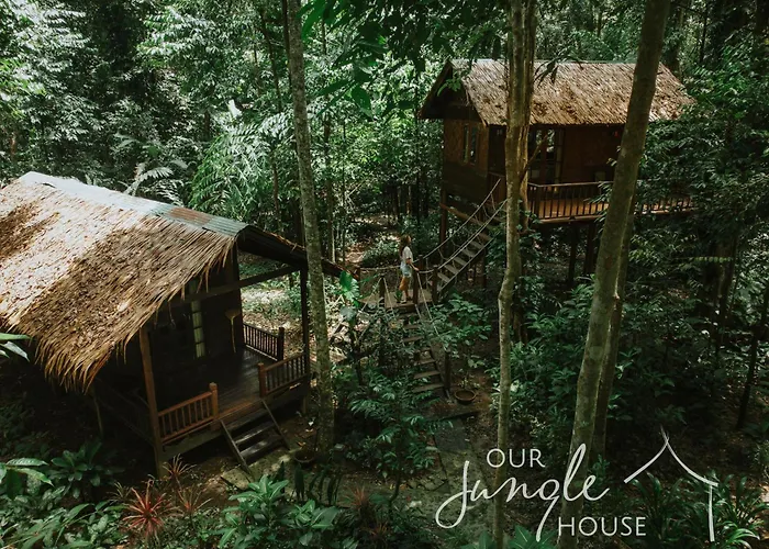 Our Jungle House