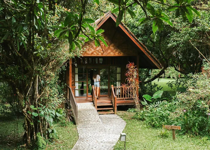 Our Jungle House