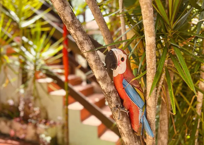 Pousada Costa Tropical Tamandaré