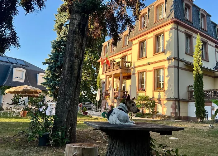 Hôtel Le Manoir Barr