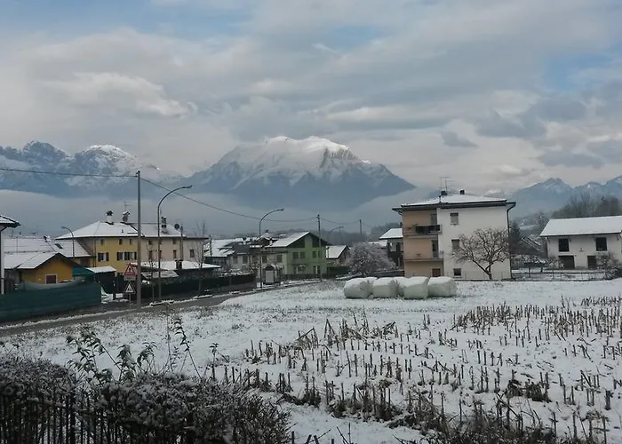 B&B Colli's Dolomites Belluno