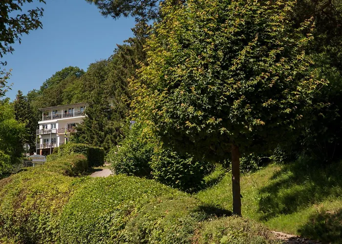 PlusNaturHotel direkt am Ederseeufer Waldhotel Wiesemann und Ferienapartments Waldeck 