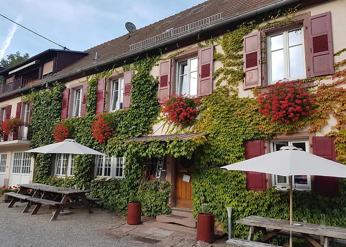 Hôtel du Haut Koenigsbourg - calme et nature Thannenkirch