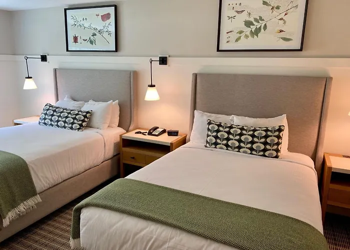 White Mountain Hotel And Resort North Conway