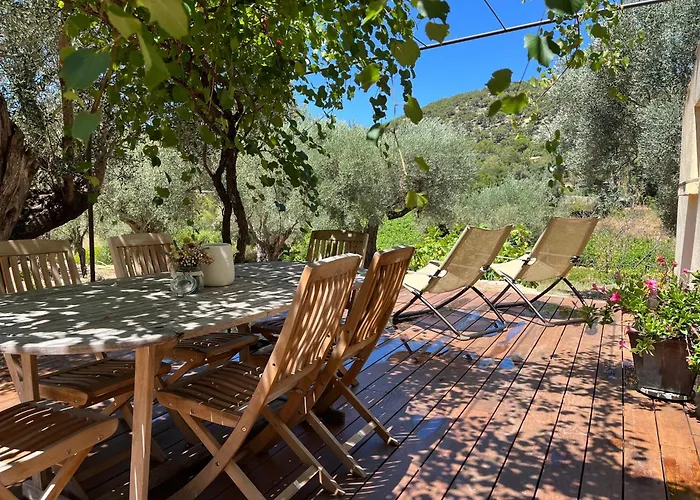 Bed and Breakfast Bastide Sainte Trinide à Sanary-sur-Mer