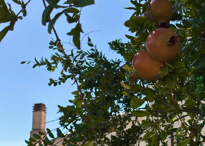 Hotel Masseria Marziale