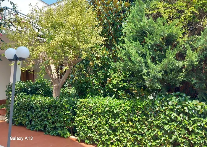 B&B La Magnolia Specchiolla