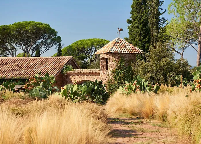 Château Saint Roux Le Luc-Le Cannet des Maures