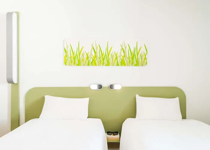 Ibis Budget Roanne Hôtel
