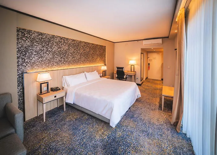 Holiday Inn Rosario By Ihg