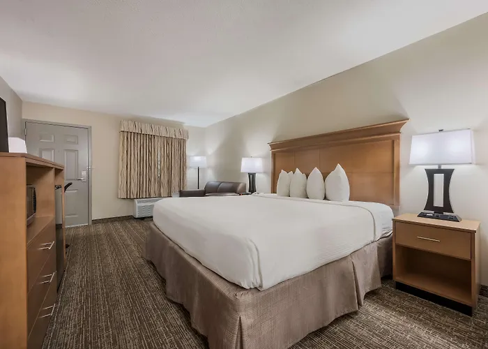 Best Western University Inn Tuscaloosa