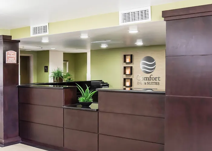 Comfort Inn & Suites St Pete - Clearwater International Airport Pinellas Park