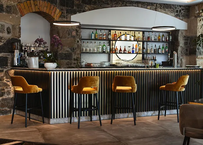 Hotel Montbrillant Ginevra