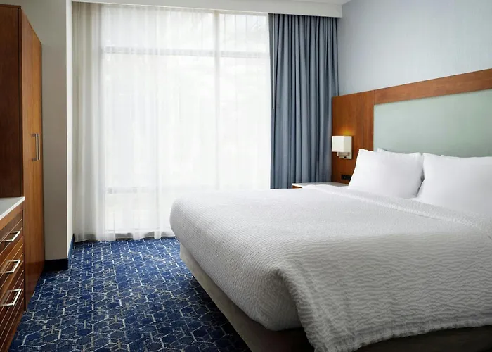 Springhill Suites By Marriott At Anaheim Resort Area/Convention Center