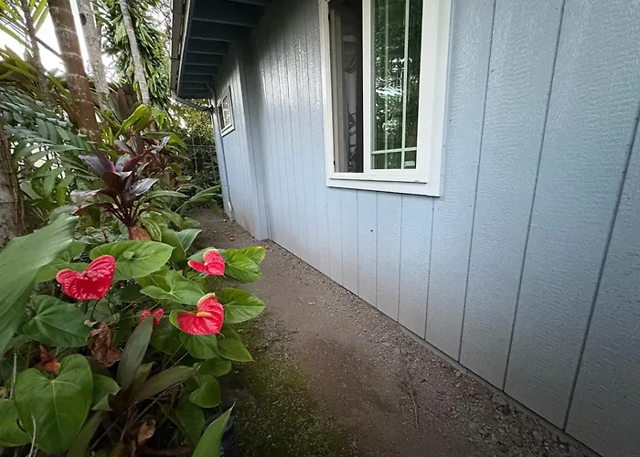 Hawaiian Ohana Home Hilo