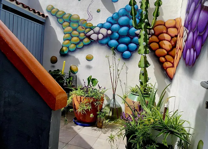 Casa Salvia Bed&Breakfast - Icod - Tenerife Icod De Los Vinos