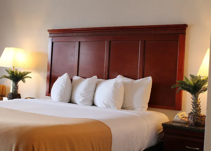 Rodeway Inn Santa Clara El Camino Real
