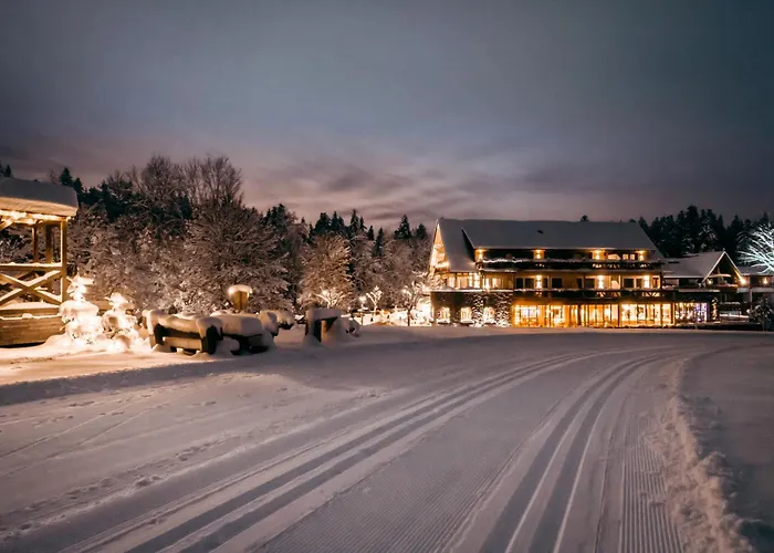 Hotel Grüner Wald Freudenstadt