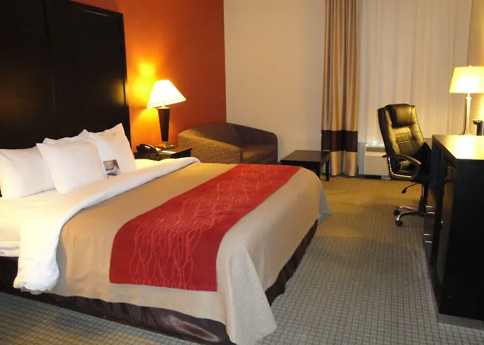 Comfort Inn & Suites York North