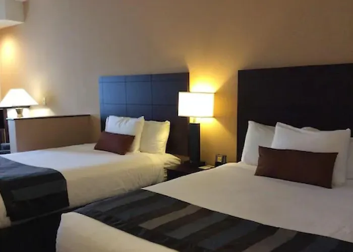 Wingate By Wyndham High Point Greensboro Airport South