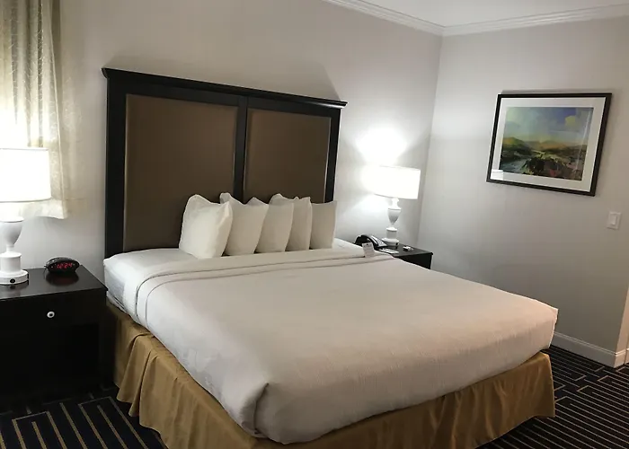 Best Western Plus Palm Court Hotel Davis