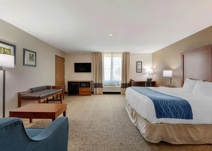 Comfort Inn Anderson South