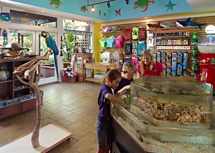 Villas Of Amelia Island Franklintown