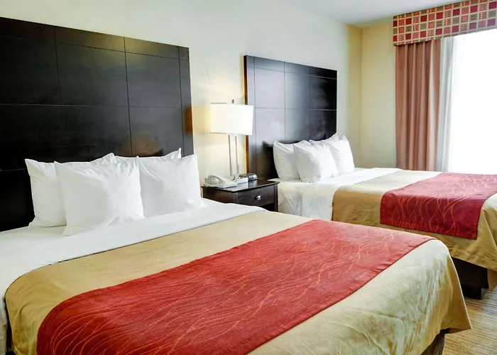 Comfort Inn & Suites Amarillo West Near Medical Center