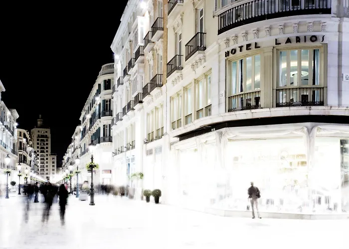 Hotel Larios Malaga