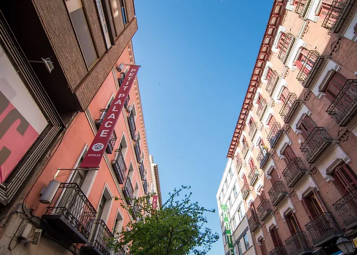 Petit Palace Tres Cruces Madri