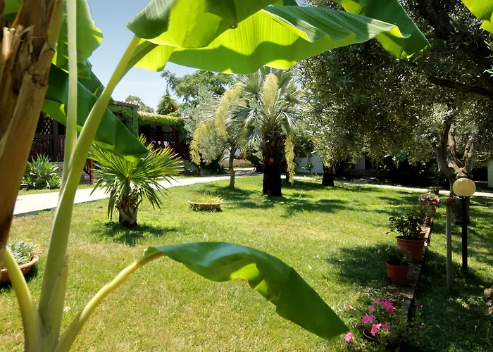 Tonicello Hotel Resort&SPA Capo Vaticano