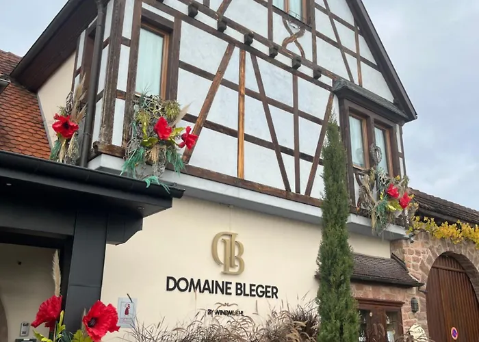 Hotel Domaine Bleger By Windmuehl à Saint-Hippolyte 