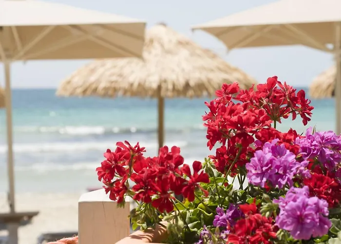 Conchiglia Azzurra Hotel&Beach Porto Cesareo