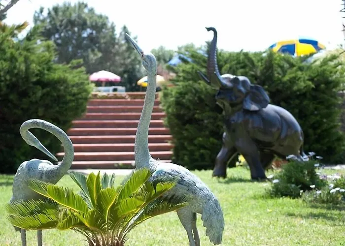 Hotel Belsole Forio di Ischia