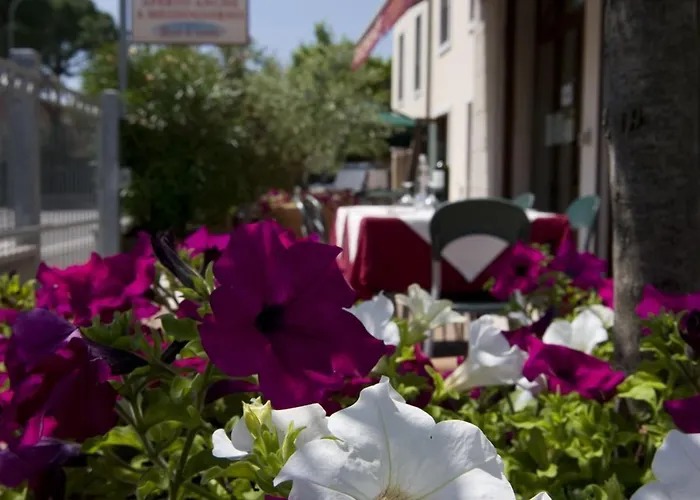 Hotel Scaligero Sommacampagna