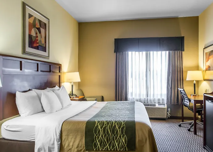 Comfort Inn & Suites Madisonville