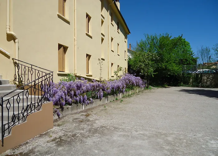 Hotel Des Voyageurs Millau