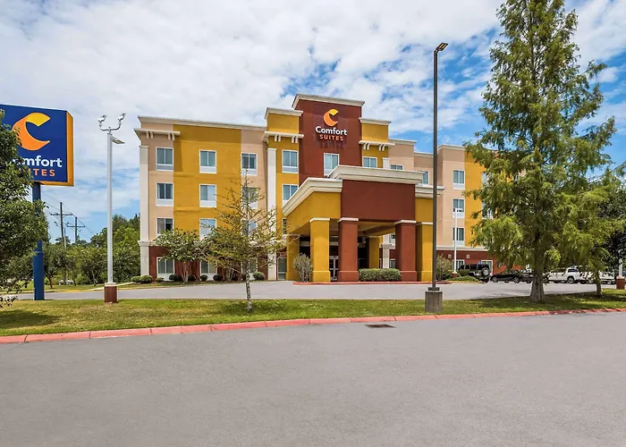 Comfort Suites Denham Springs