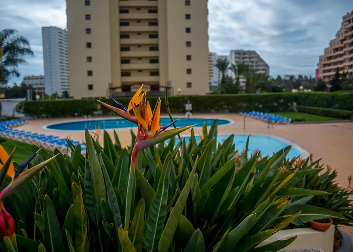 Flor Da Rocha Aparthotel Portimão