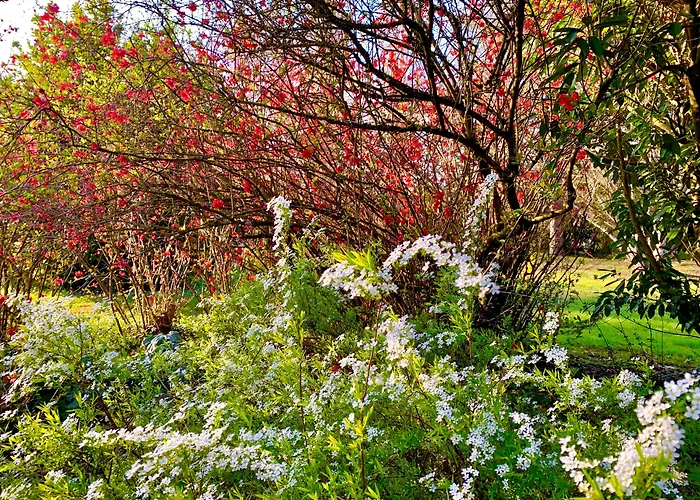 Bed and Breakfast Le Moulin Du Port à Saint-Georges-sur-Cher