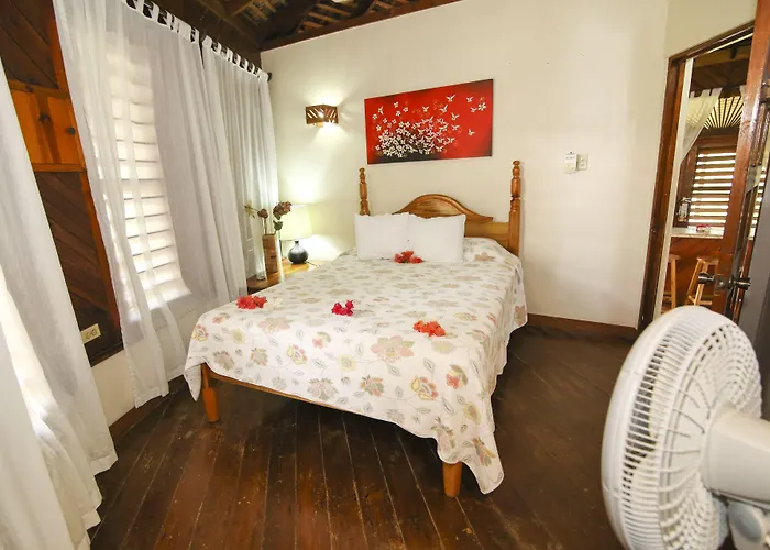 Catcha Falling Star Negril