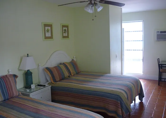 Palm Court Motel Dunedin