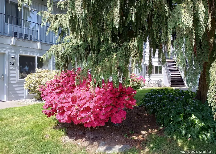 Cocusa Motel Burlington
