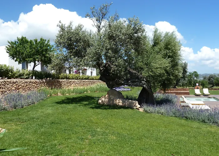 Casa Maca Hotel Ibiza-stad