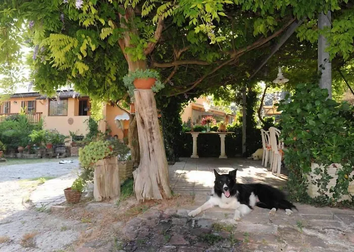 B&B Glicine Ancona